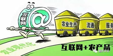 重庆 农产品电商产业发展现状研究